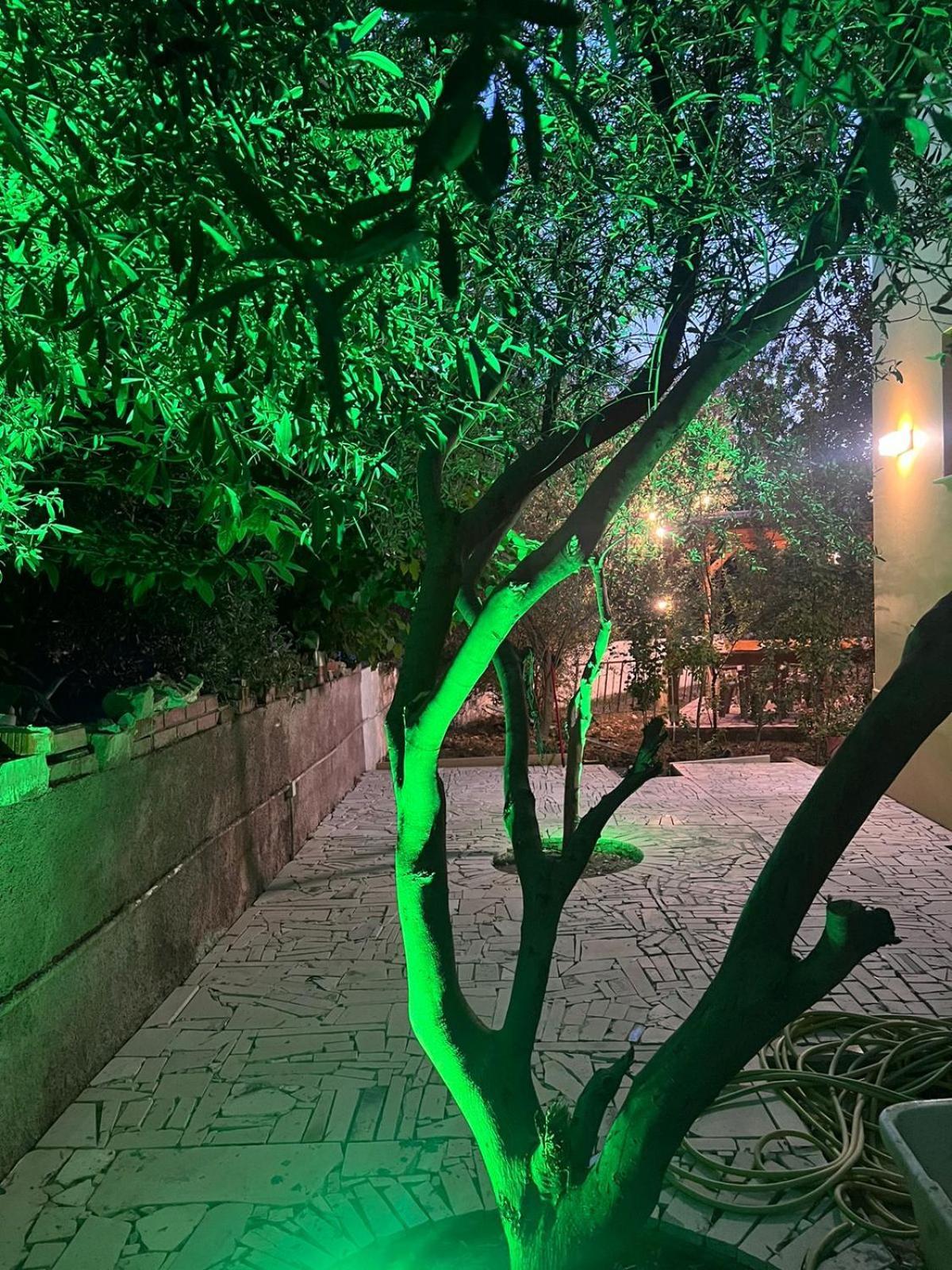 Vila Magis Vlora Kültér fotó