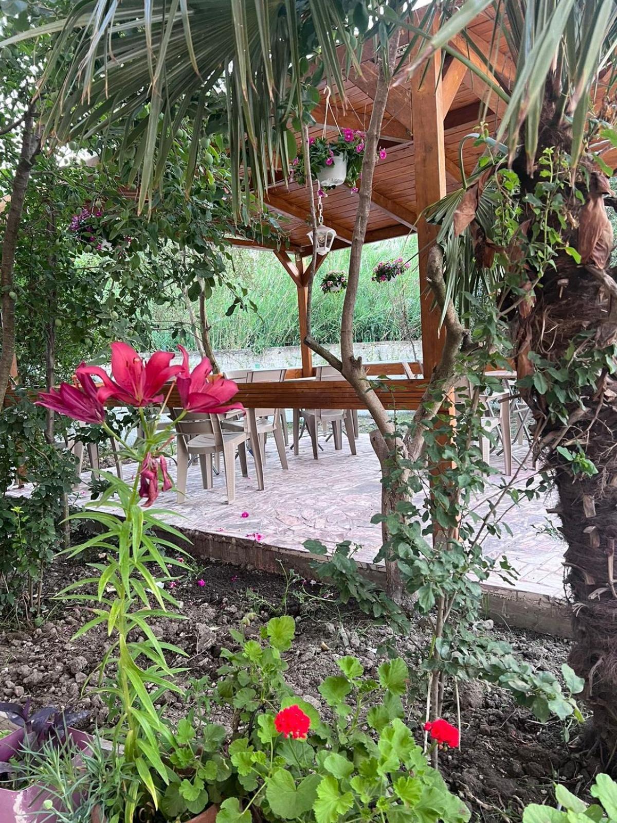 Vila Magis Vlora Kültér fotó